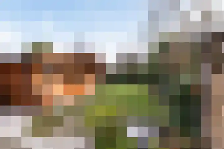 Esweg 3 Eelde thumbnail 8
