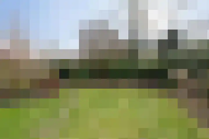 Esweg 3 Eelde thumbnail 9