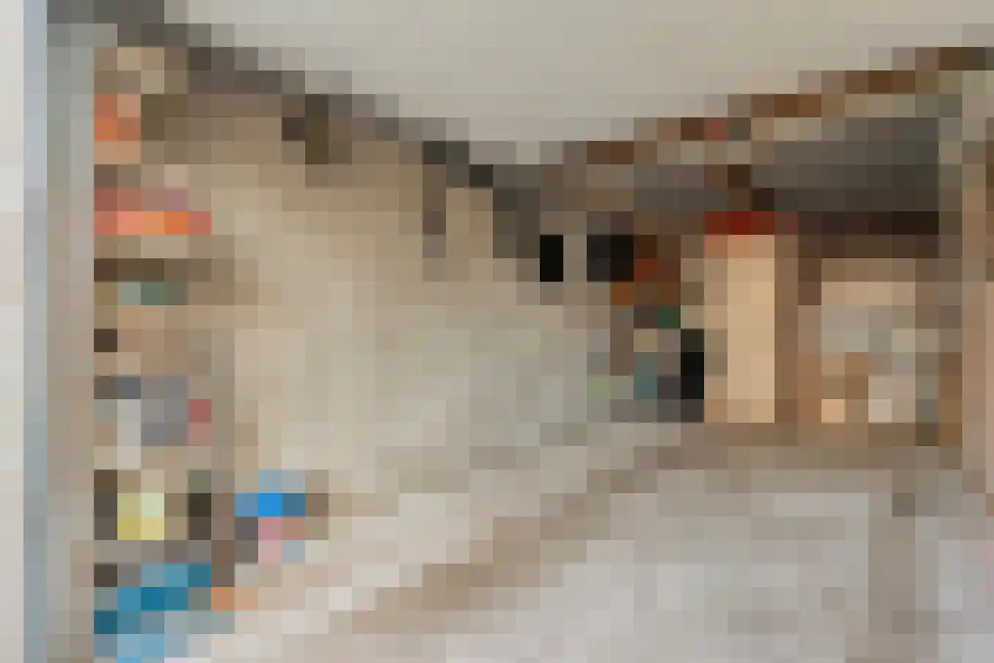 Esweg 3 Zwinderen thumbnail 27
