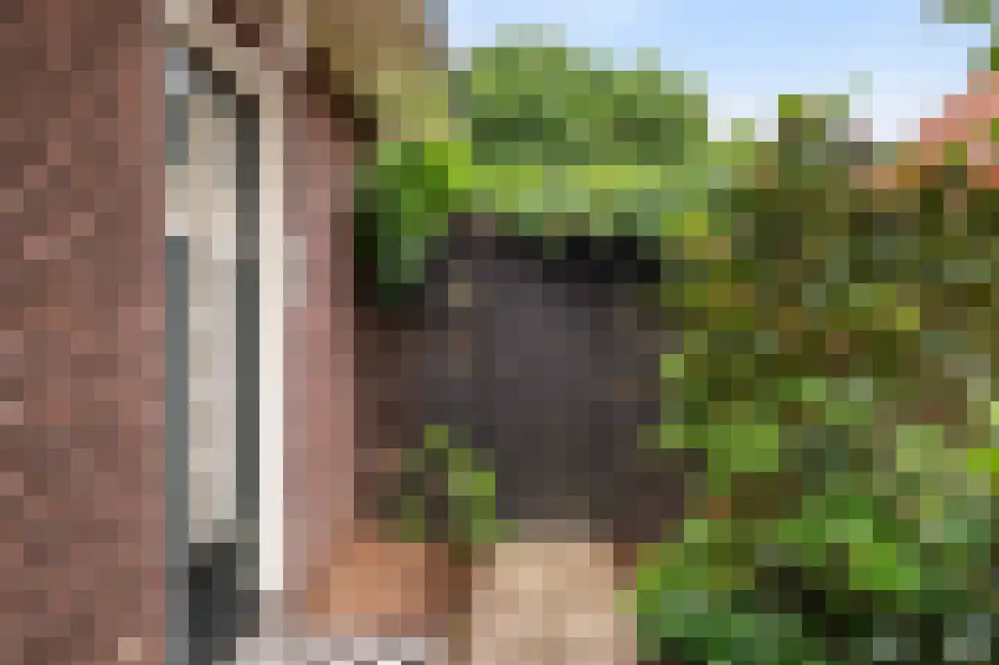 Esweg 35 Eibergen thumbnail 10