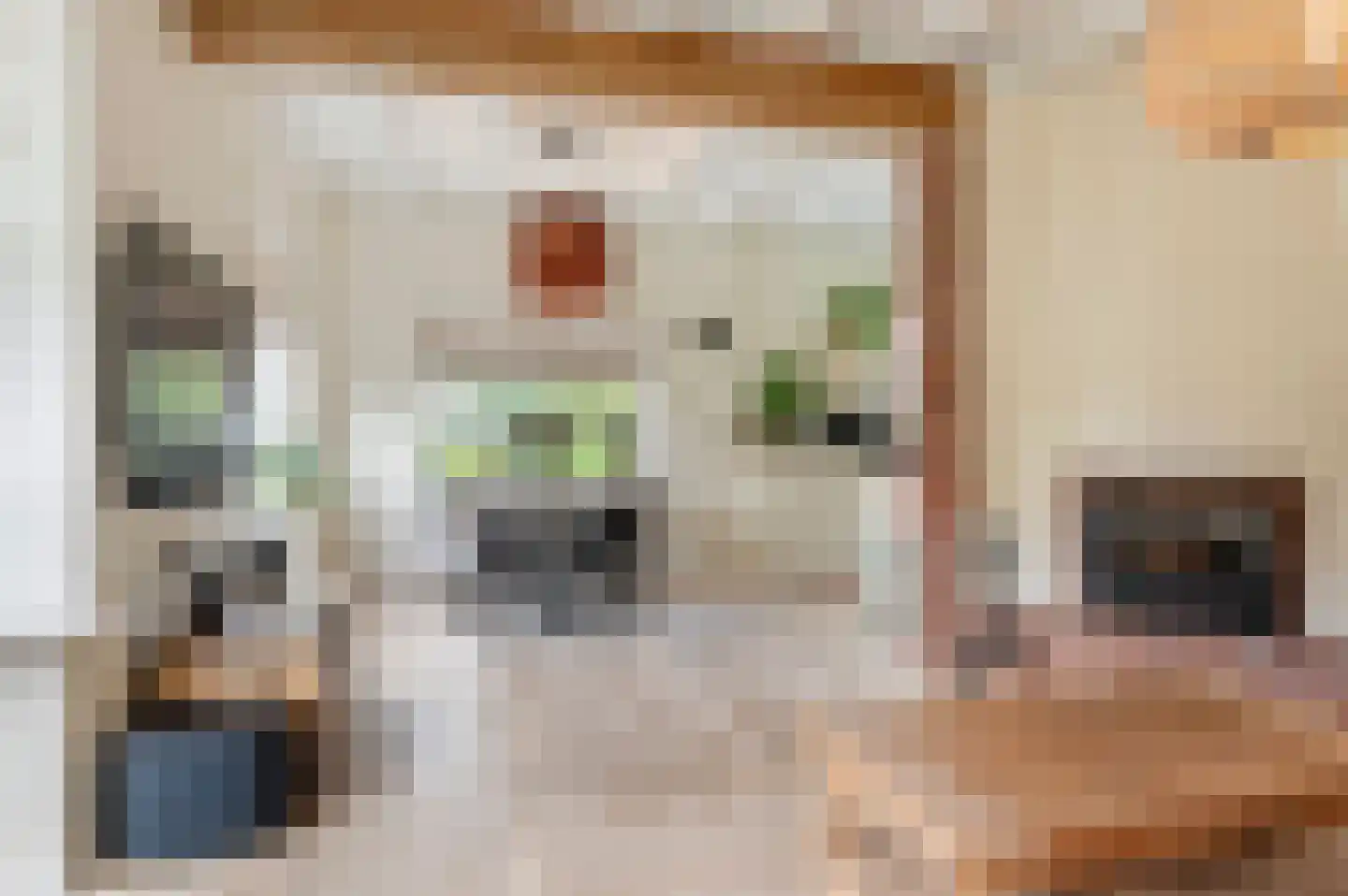Esweg 35 Eibergen thumbnail 16