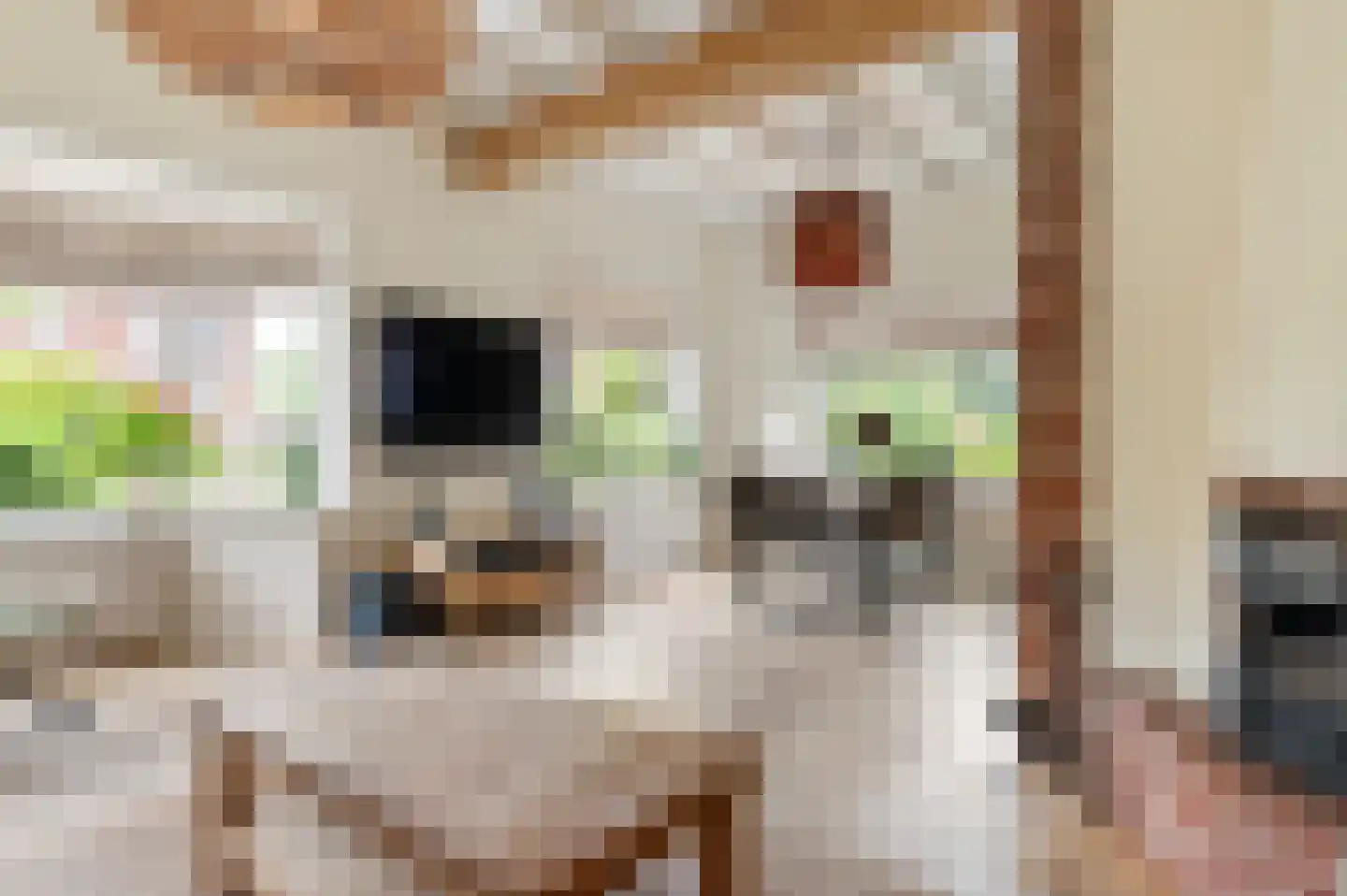 Esweg 35 Eibergen thumbnail 17