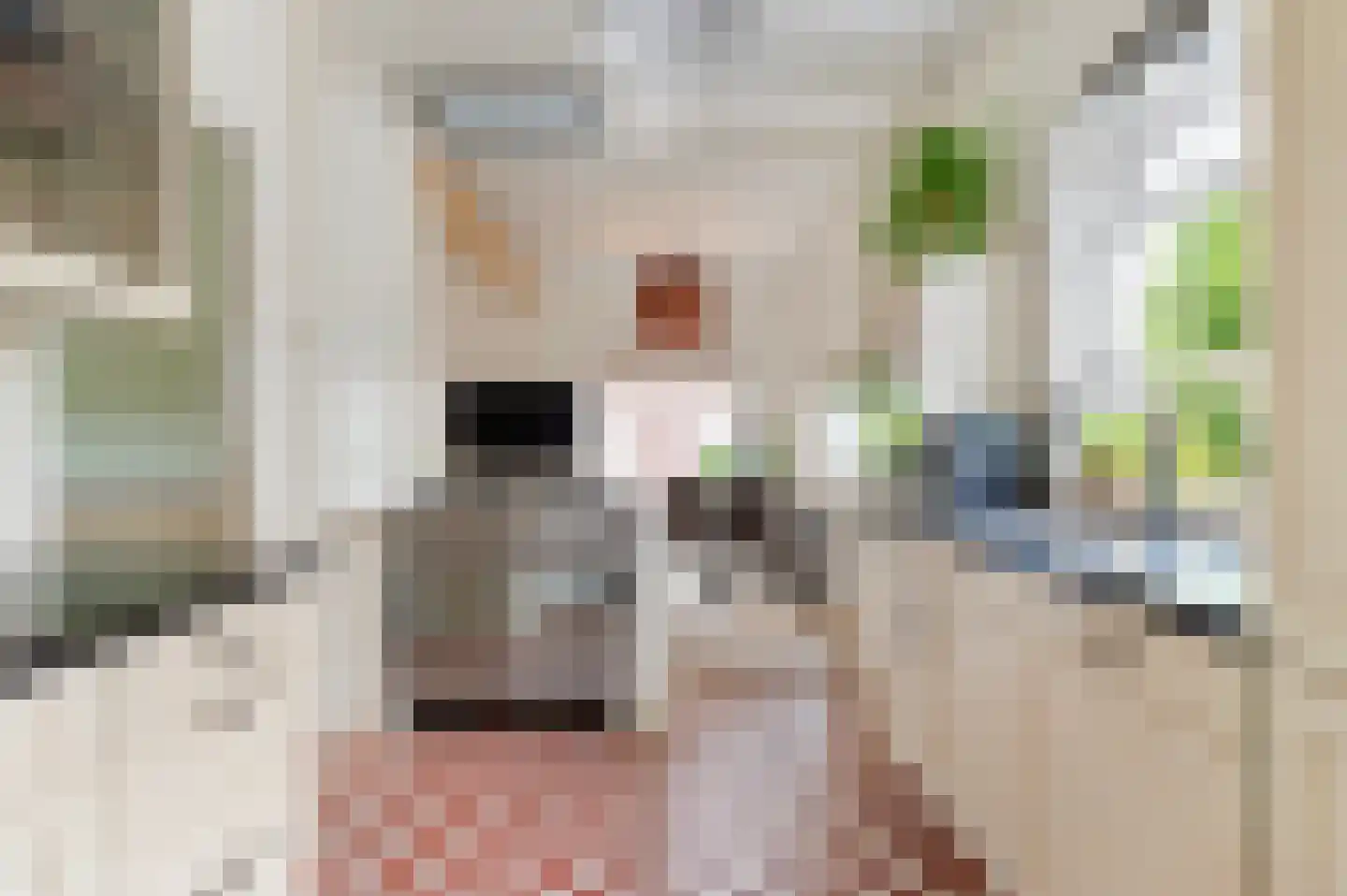 Esweg 35 Eibergen thumbnail 24