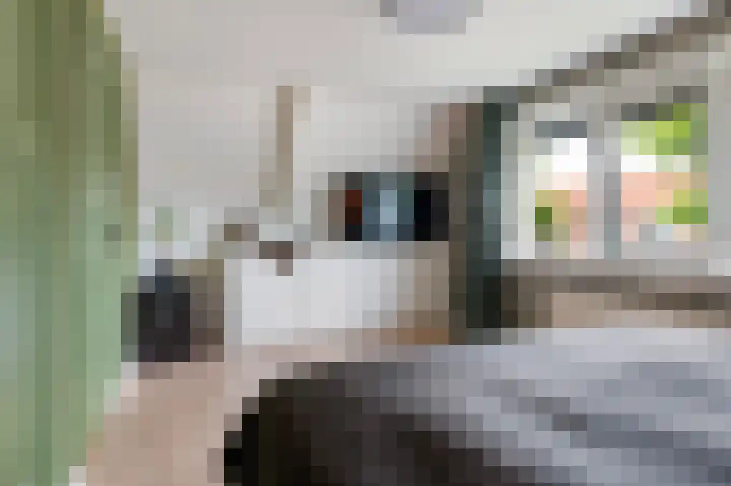 Esweg 35 Eibergen thumbnail 34