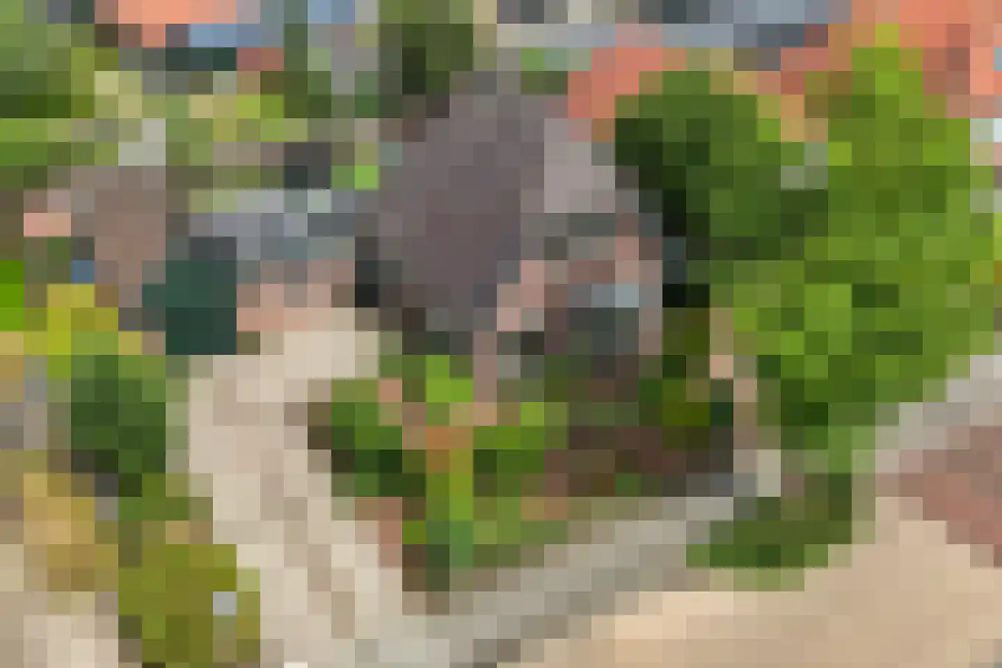 Esweg 35 Eibergen thumbnail 47