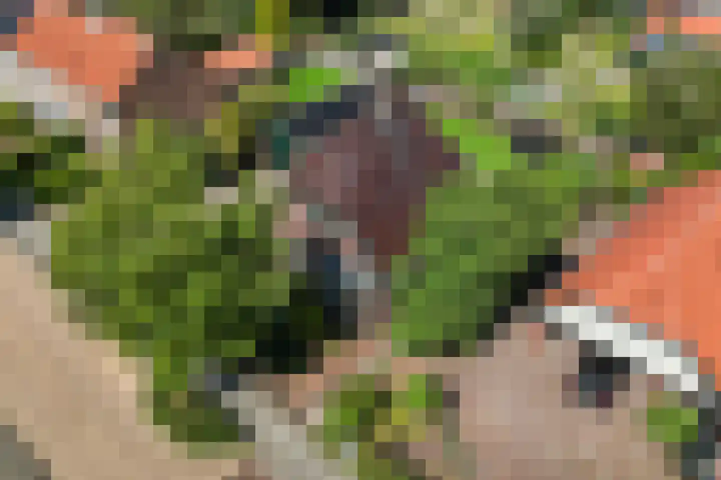 Esweg 35 Eibergen thumbnail 48