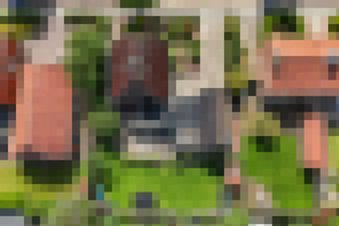 Esweg 35 Eibergen thumbnail 50