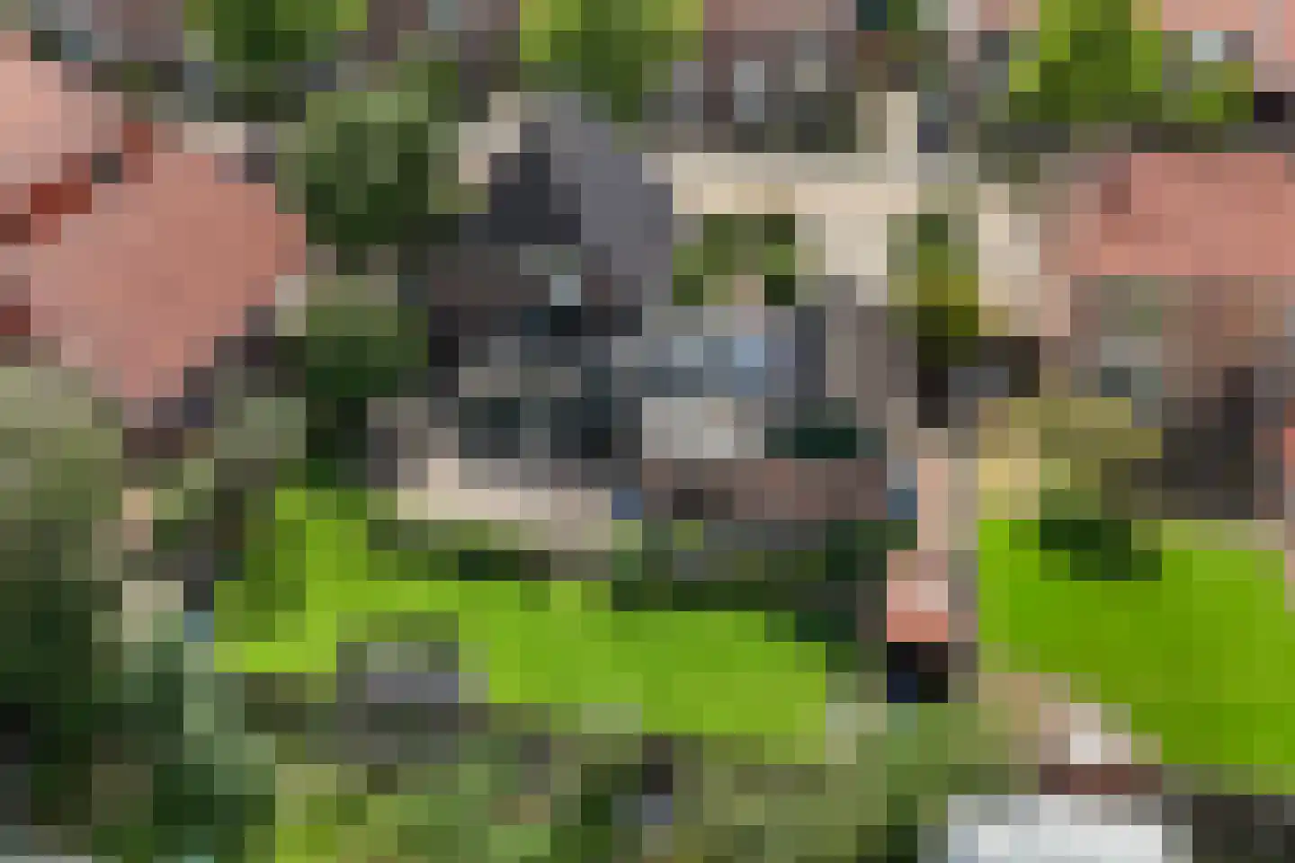 Esweg 35 Eibergen thumbnail 51