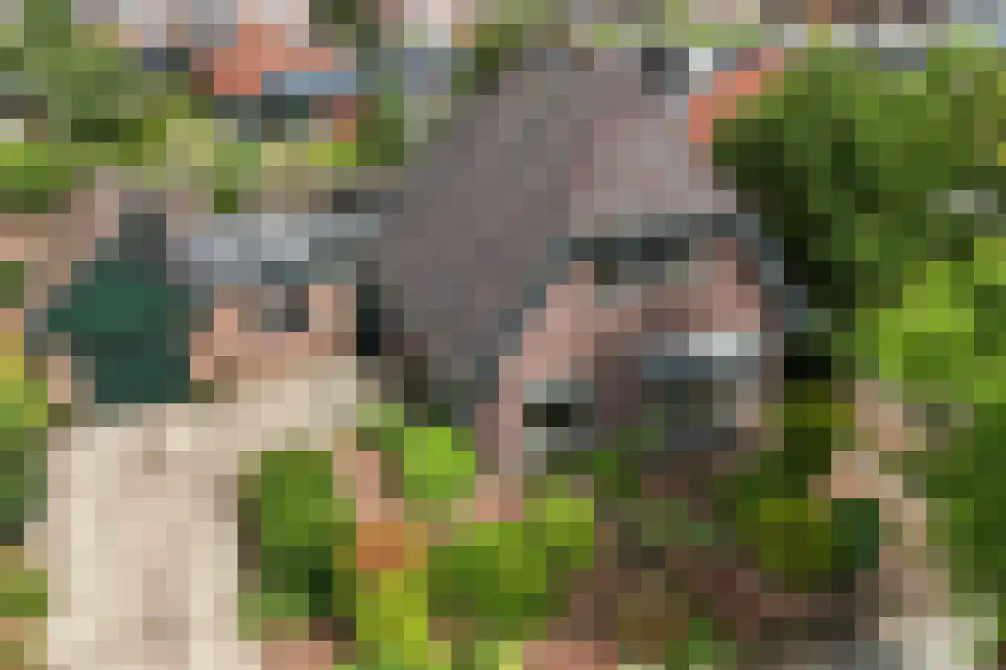 Esweg 35 Eibergen thumbnail 7