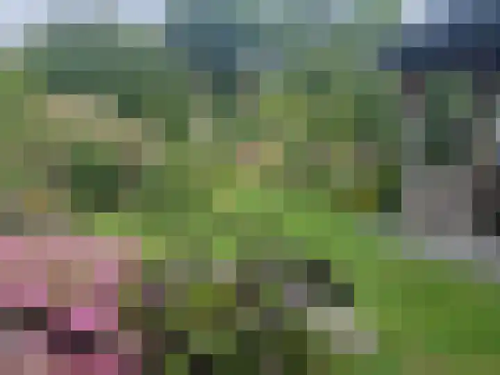 Esweg 36 a Nijverdal thumbnail 25