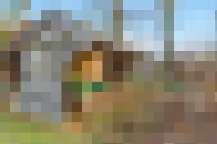 Esweg 36 a Nijverdal thumbnail 29