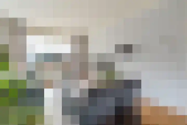 Esweg 36 a Nijverdal thumbnail 6