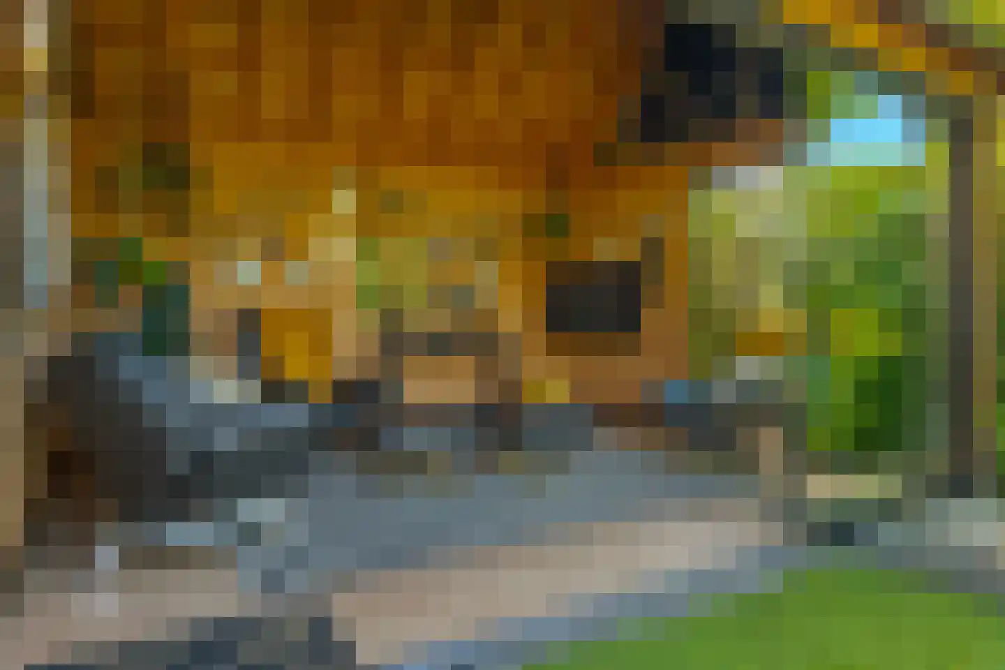 Esweg 39 Beilen thumbnail 59