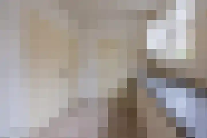 Esweg 4 a Den Ham thumbnail 12