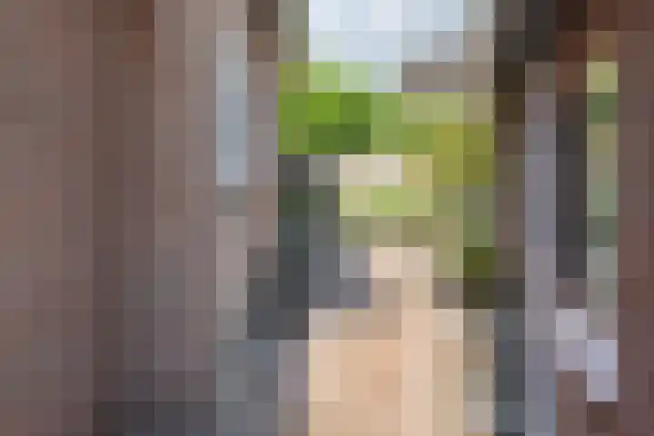 Esweg 4 a Den Ham thumbnail 31