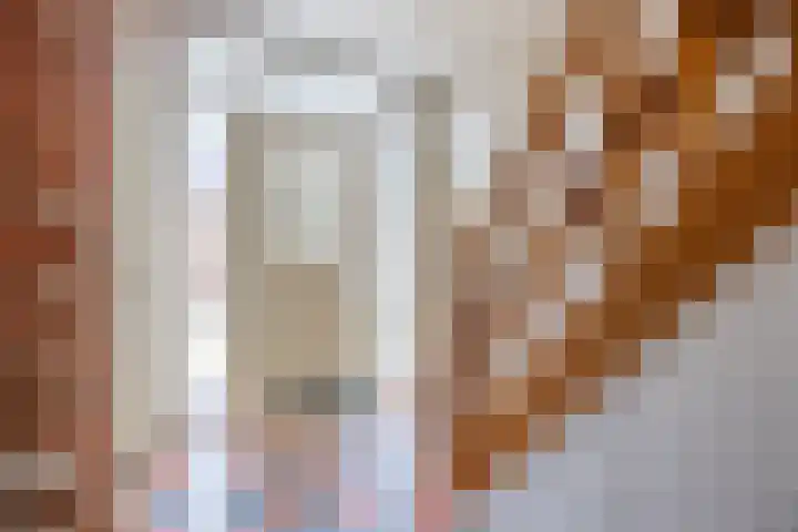 Esweg 4 a Den Ham thumbnail 4