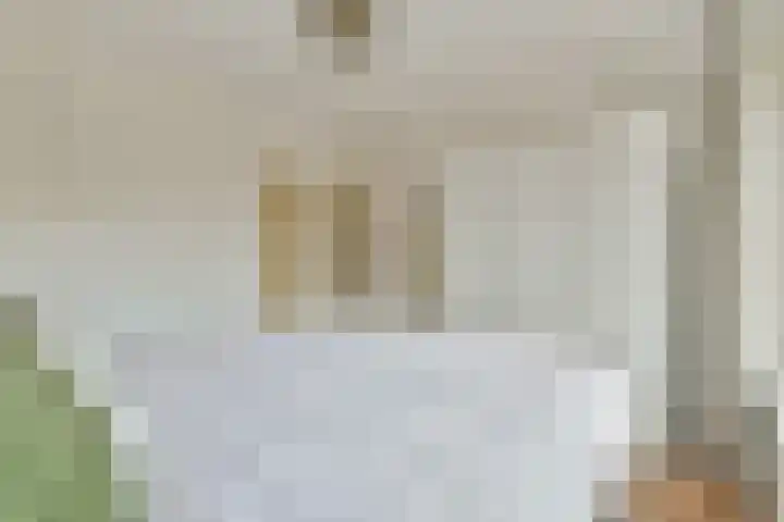 Esweg 4 a Den Ham thumbnail 45