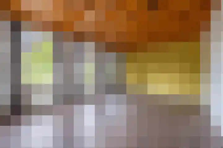 Esweg 4 a Den Ham thumbnail 9