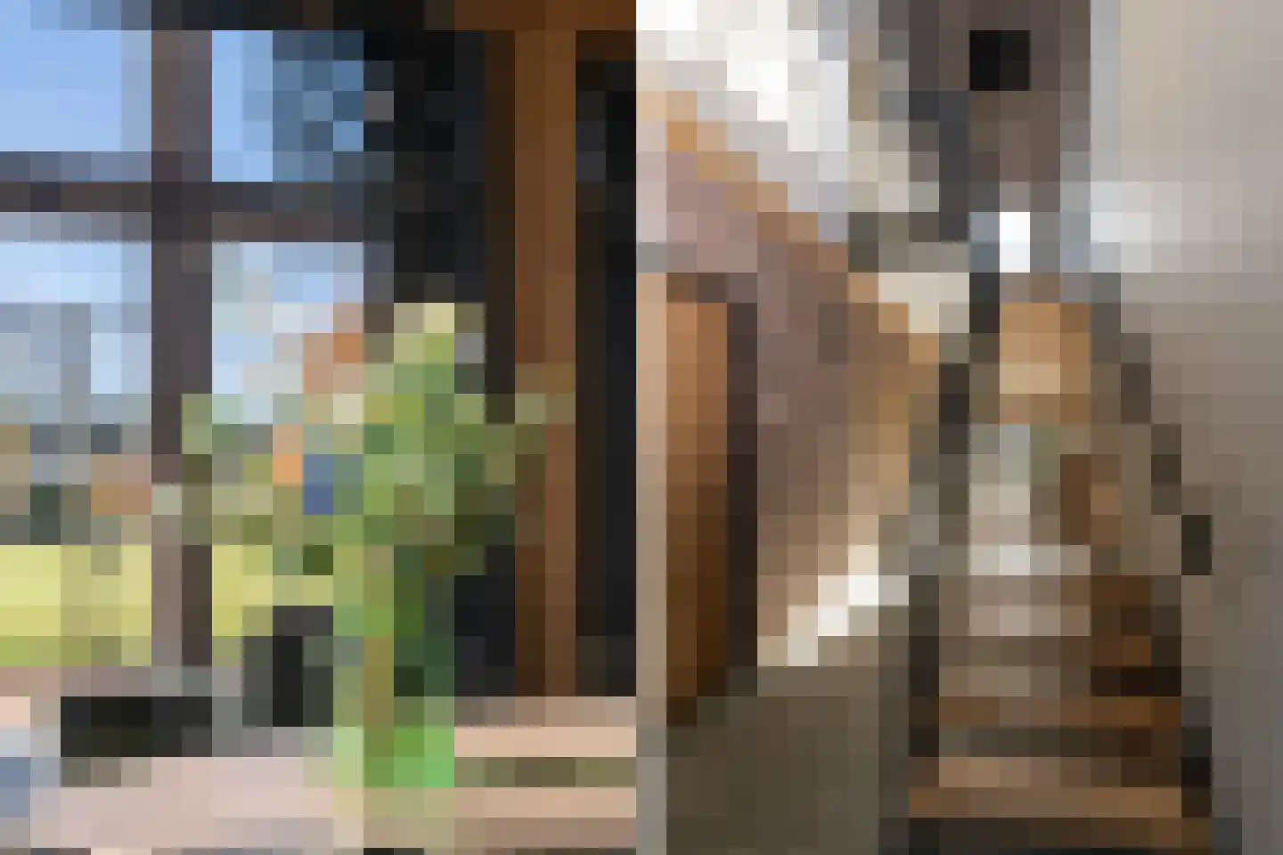 Esweg 4 Diepenheim thumbnail 13