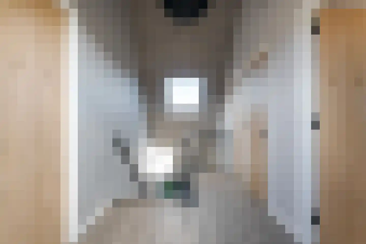 Esweg 4 Diepenheim thumbnail 25