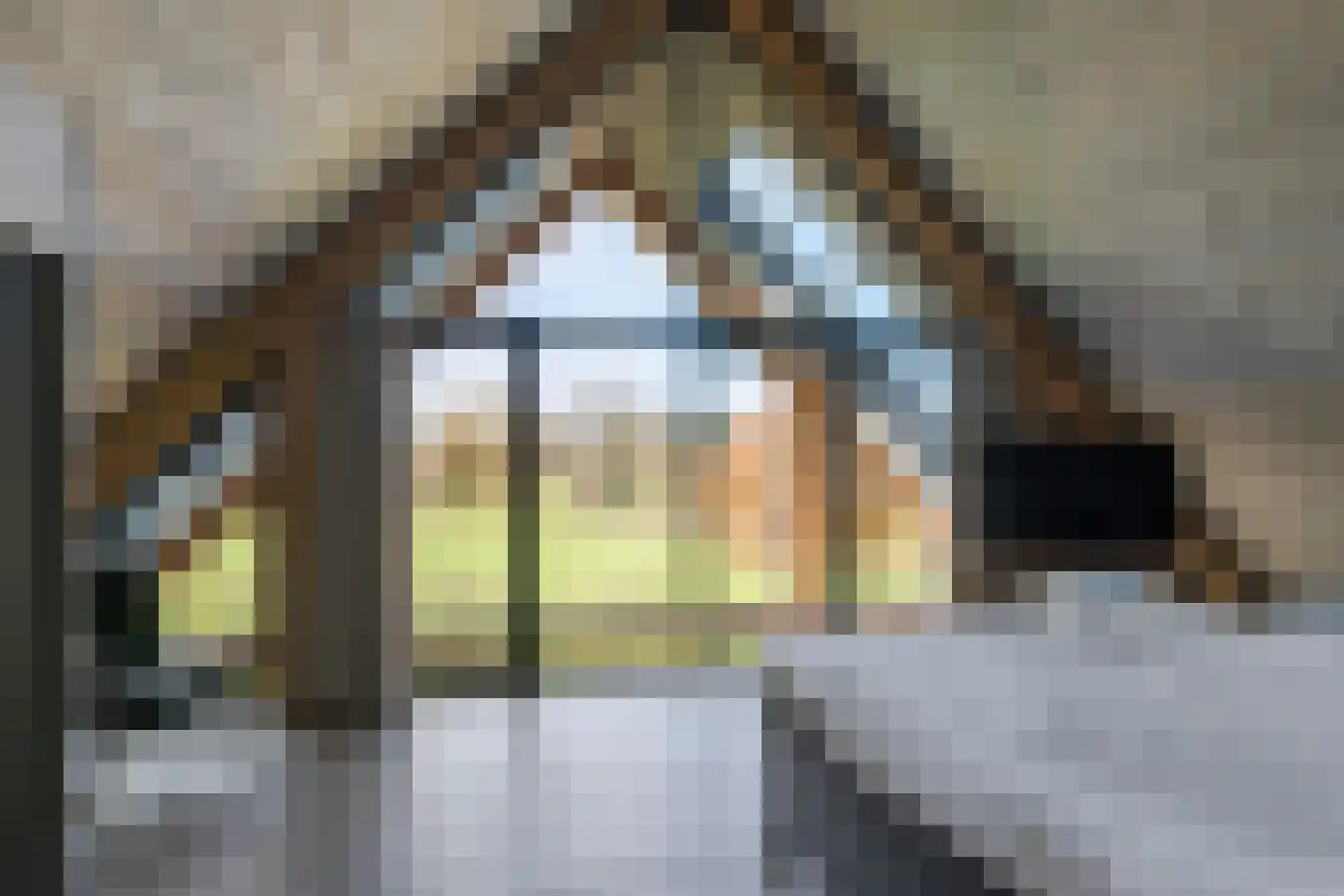 Esweg 4 Diepenheim thumbnail 28