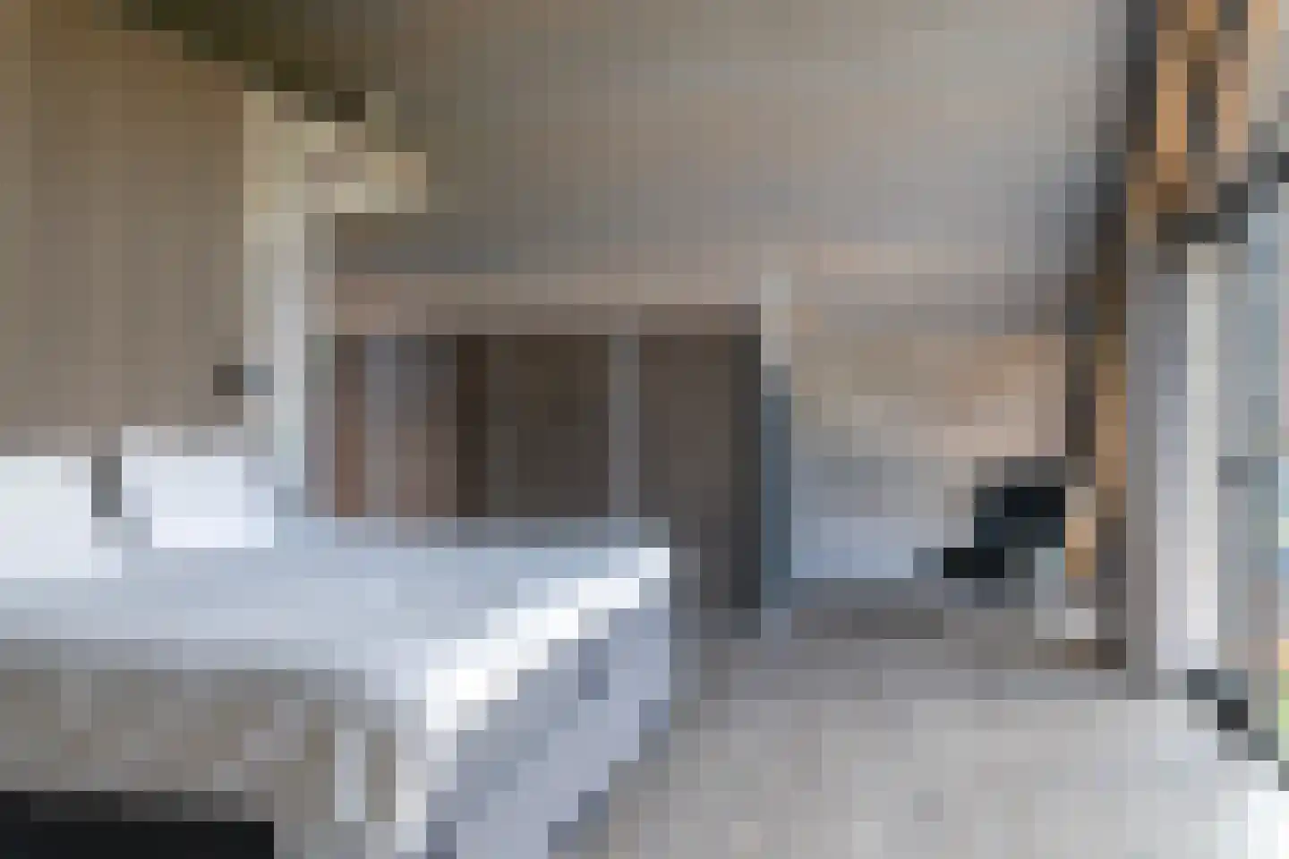 Esweg 4 Diepenheim thumbnail 30