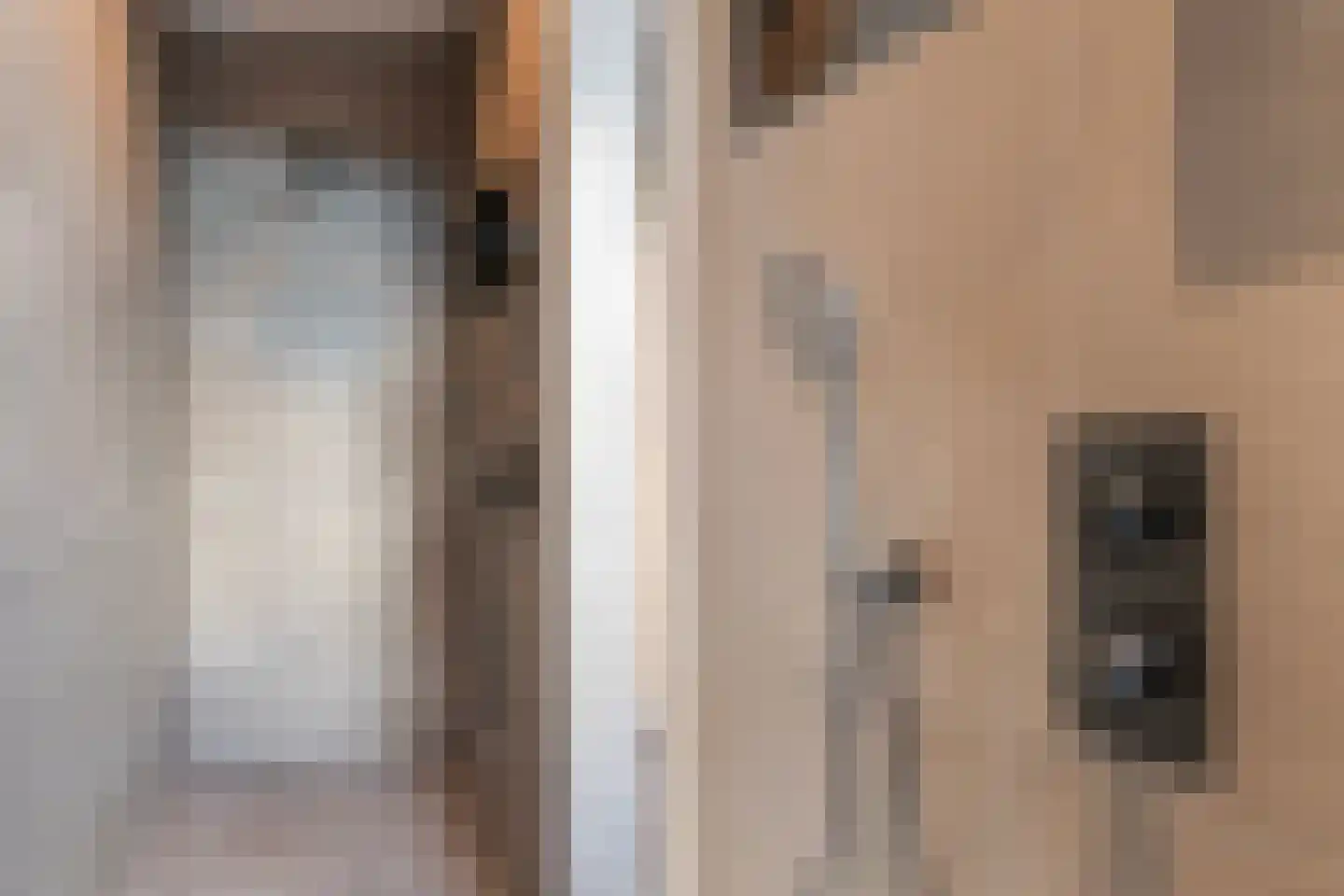 Esweg 4 Diepenheim thumbnail 33