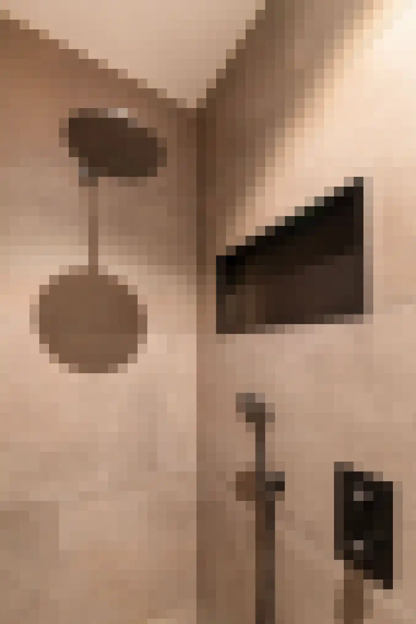 Esweg 4 Diepenheim thumbnail 35