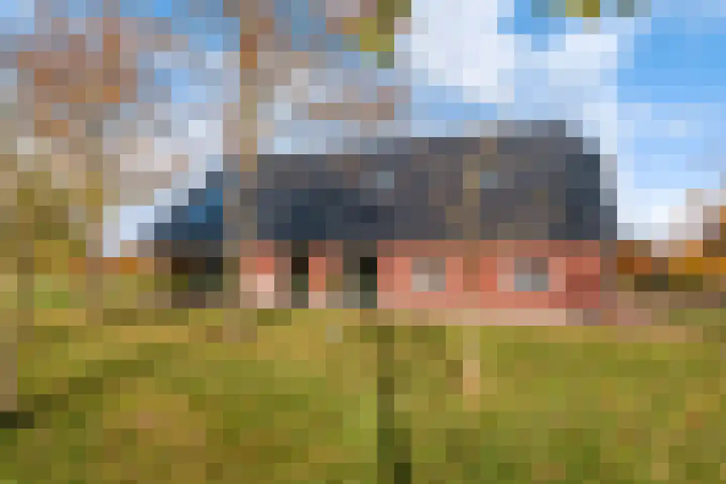 Esweg 4 Diepenheim thumbnail 47
