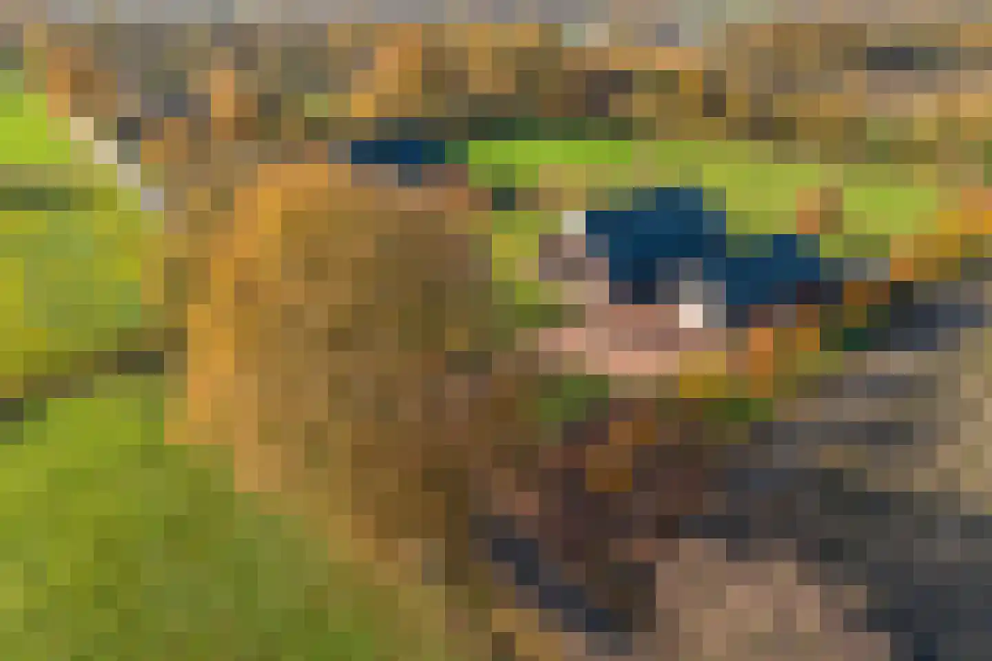 Esweg 4 Diepenheim thumbnail 51