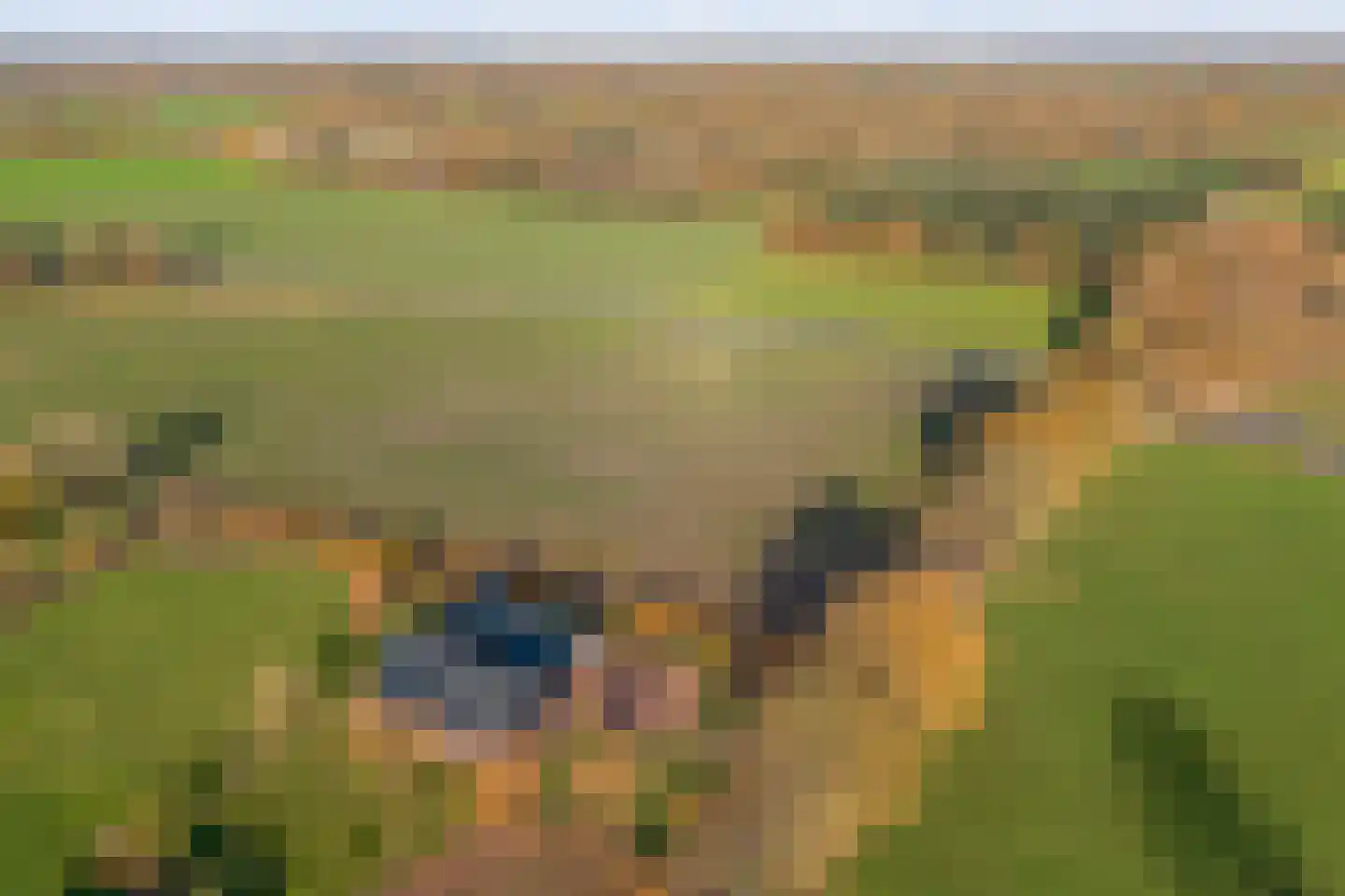 Esweg 4 Diepenheim thumbnail 59