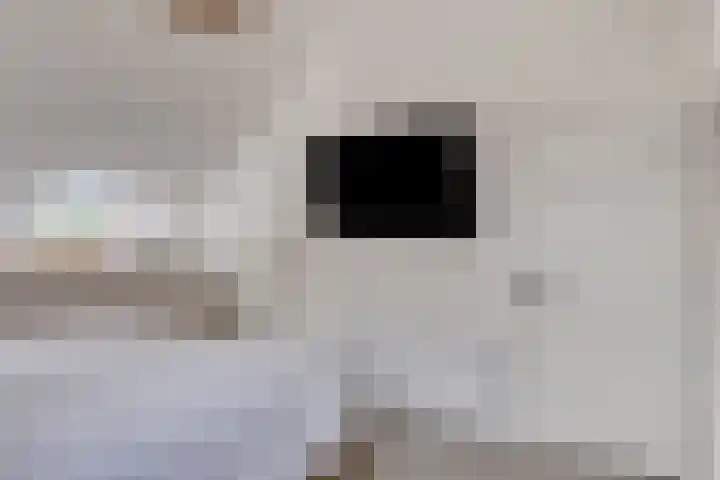Esweg 4 Dwingeloo thumbnail 19