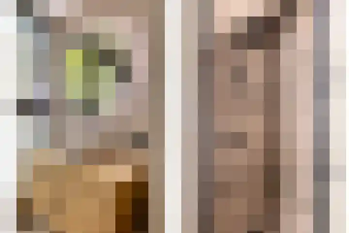 Esweg 4 Dwingeloo thumbnail 24