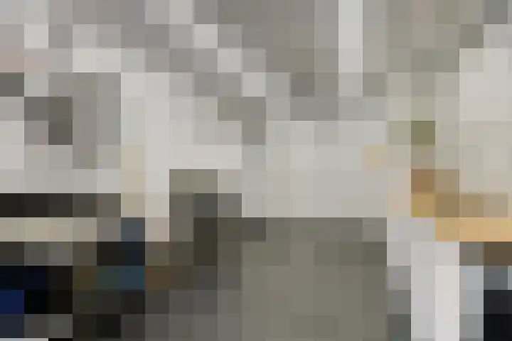 Esweg 4 Dwingeloo thumbnail 25