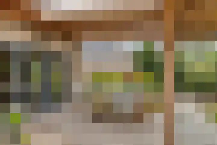 Esweg 4 Dwingeloo thumbnail 26