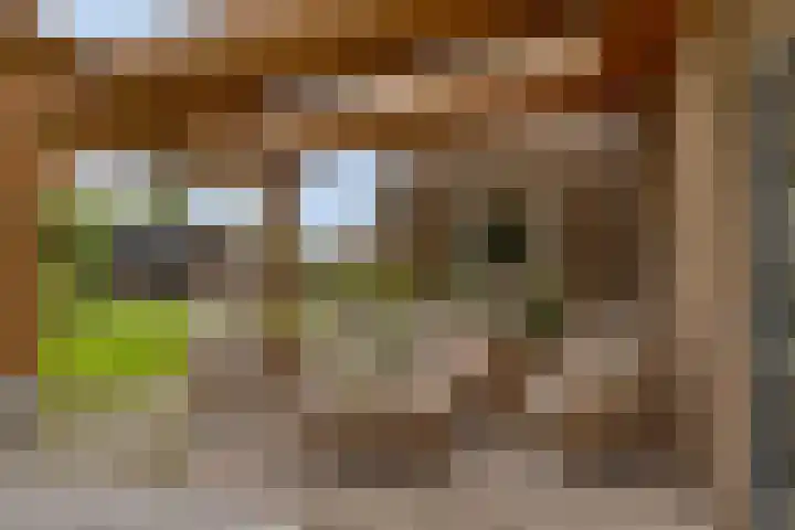 Esweg 4 Dwingeloo thumbnail 27