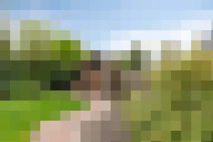 Esweg 4 Dwingeloo thumbnail 29