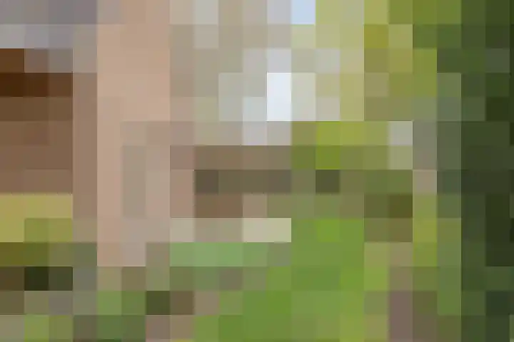Esweg 4 Dwingeloo thumbnail 30