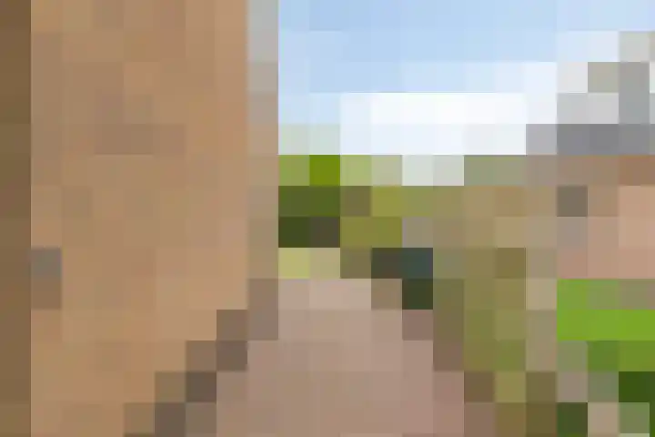 Esweg 4 Dwingeloo thumbnail 32