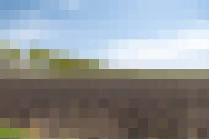 Esweg 4 Dwingeloo thumbnail 38