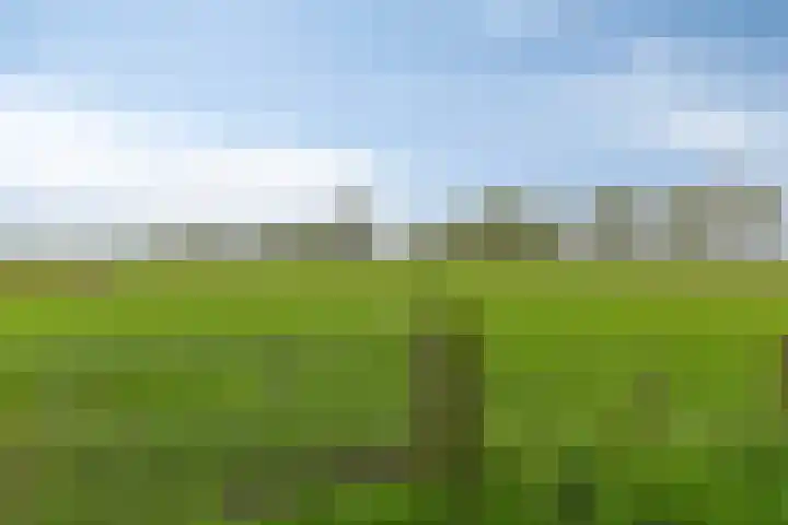 Esweg 4 Dwingeloo thumbnail 4