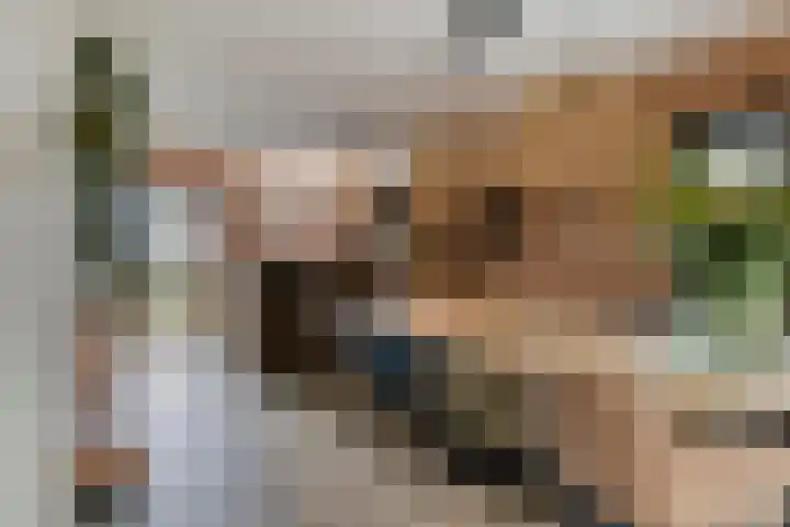 Esweg 4 Dwingeloo thumbnail 7