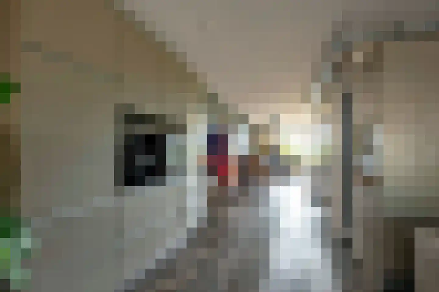 Esweg 4 Gieten thumbnail 17
