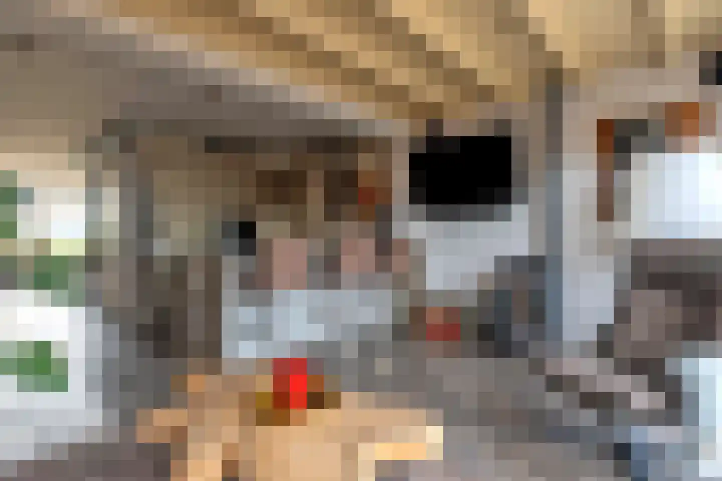 Esweg 4 Gieten thumbnail 23