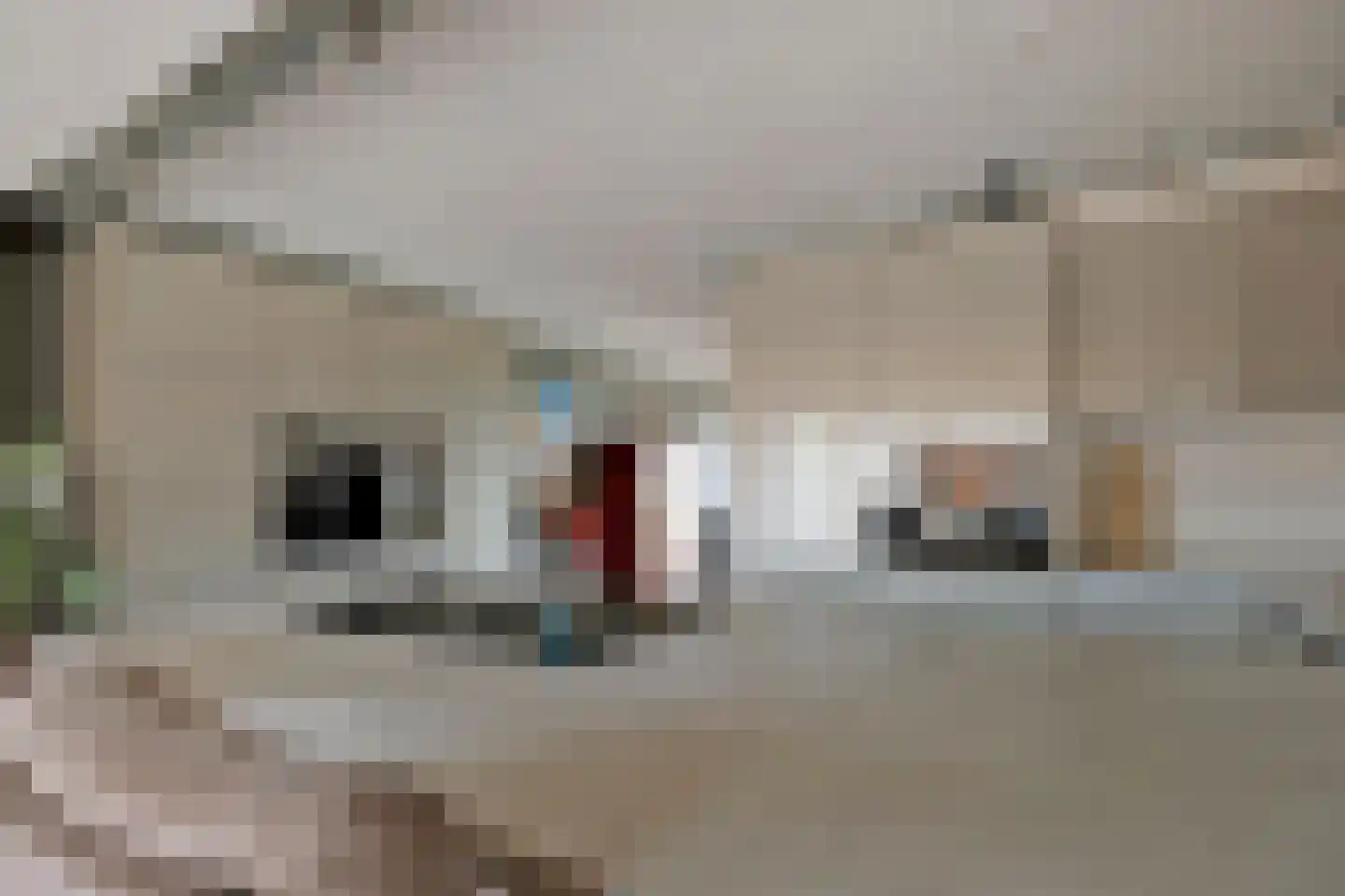 Esweg 4 Gieten thumbnail 24