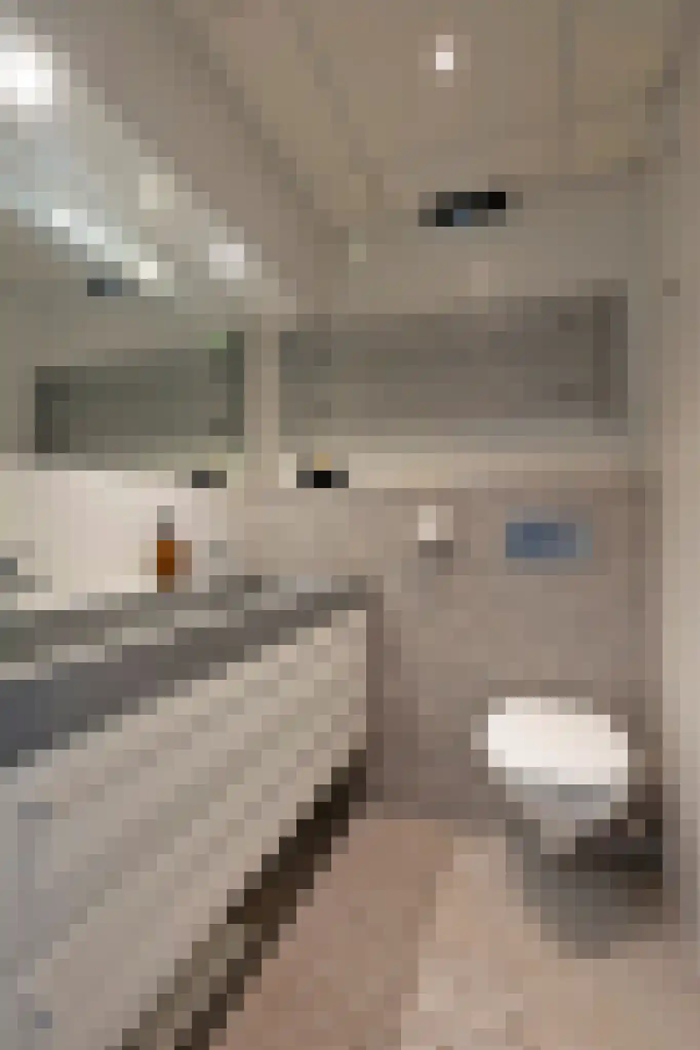 Esweg 4 Gieten thumbnail 32