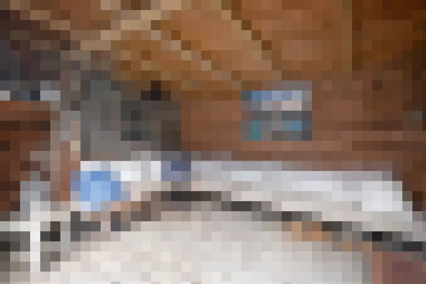 Esweg 4 Gieten thumbnail 42