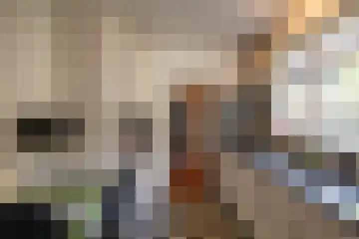 Esweg 40 Zuidlaren thumbnail 15