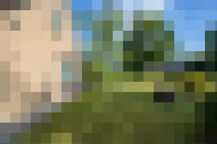 Esweg 40 Zuidlaren thumbnail 38