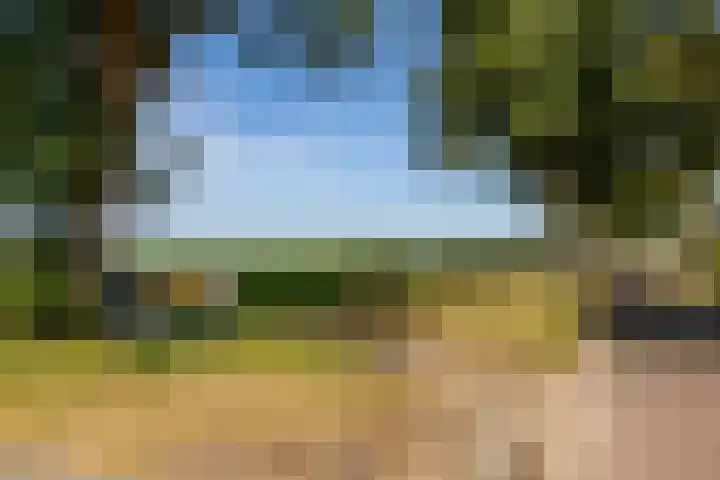 Esweg 40 Zuidlaren thumbnail 4